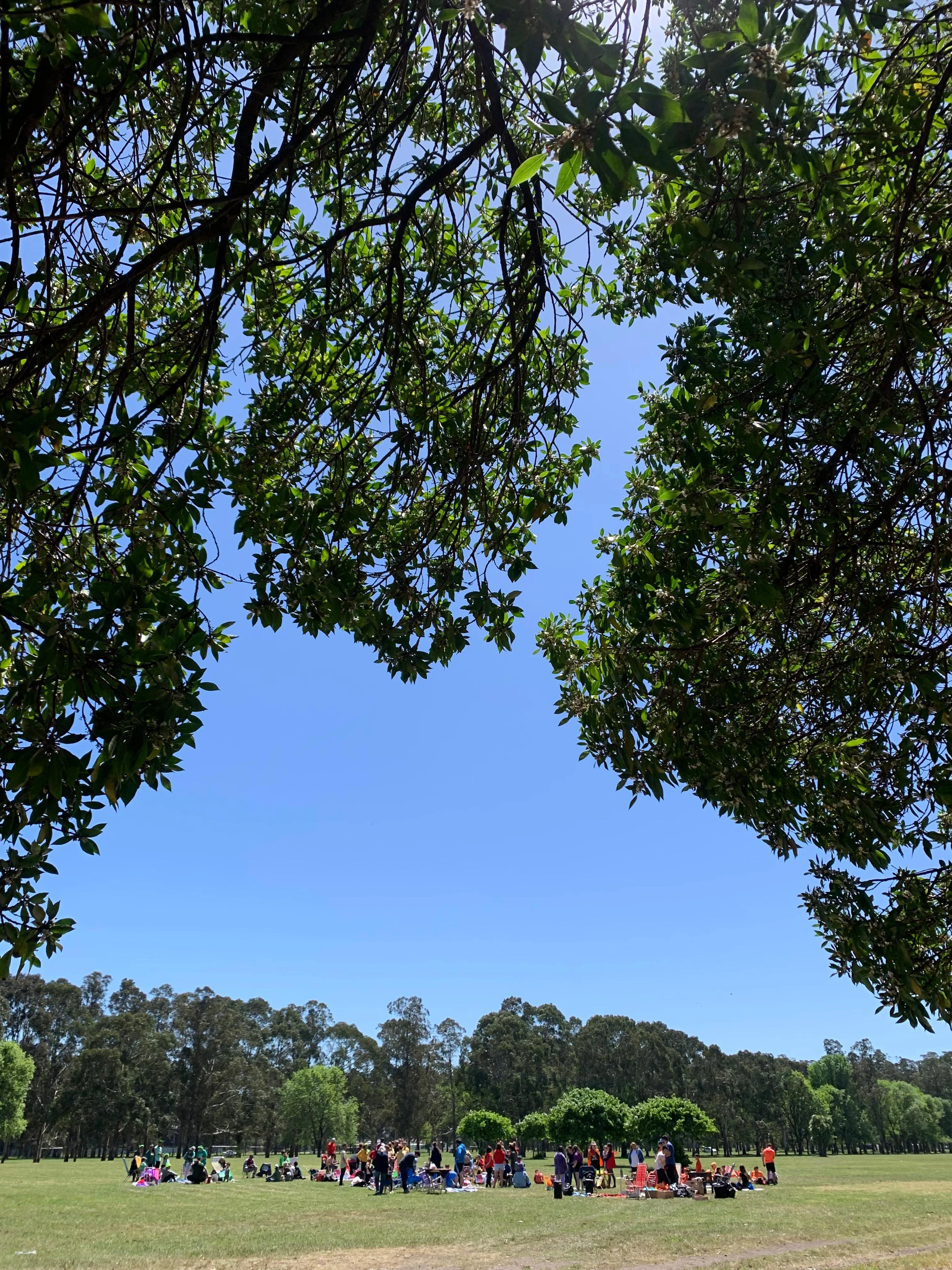 Imagen 3 de Día de la Familia