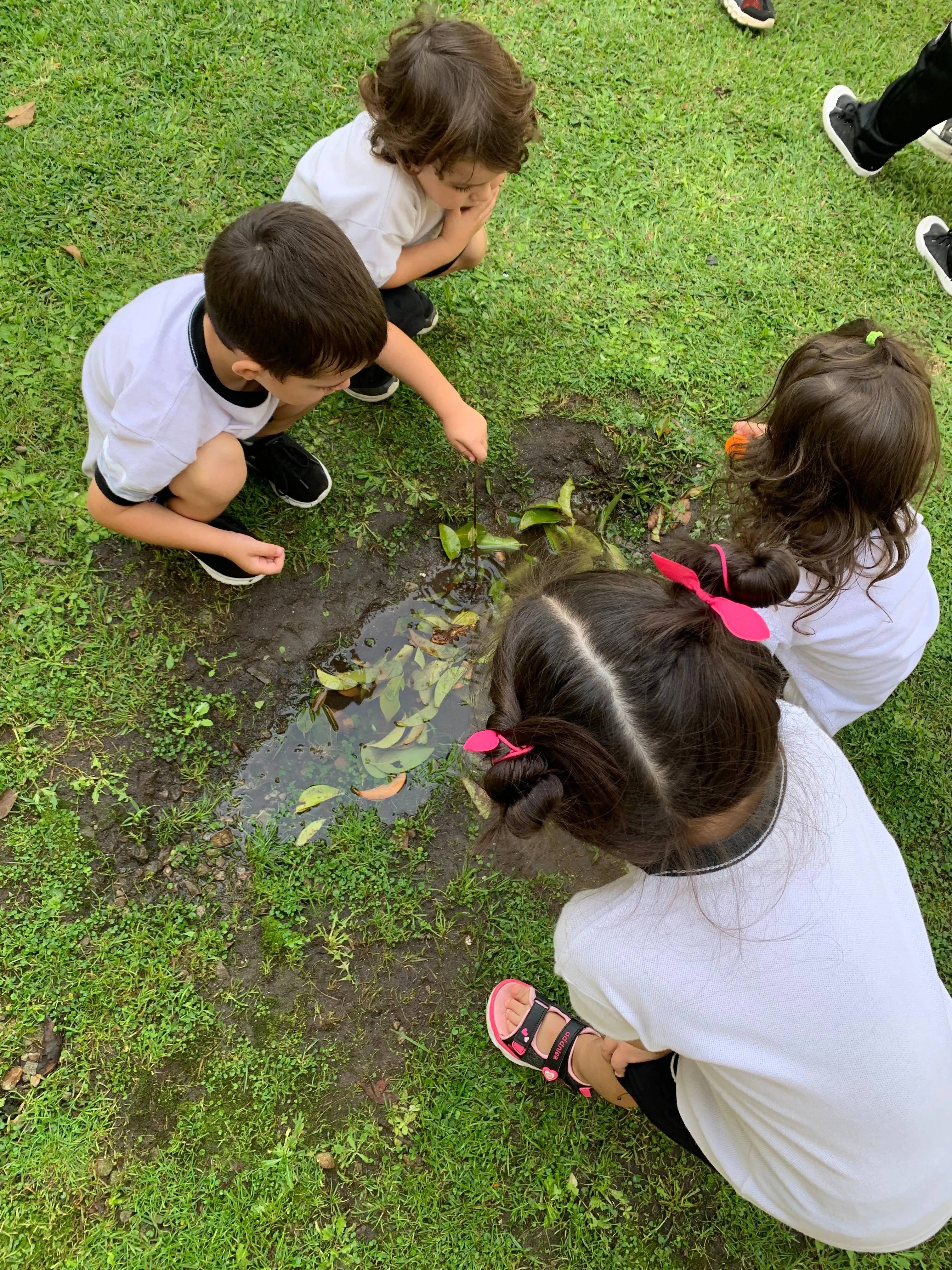 Imagen de Galería de Nivel Inicial