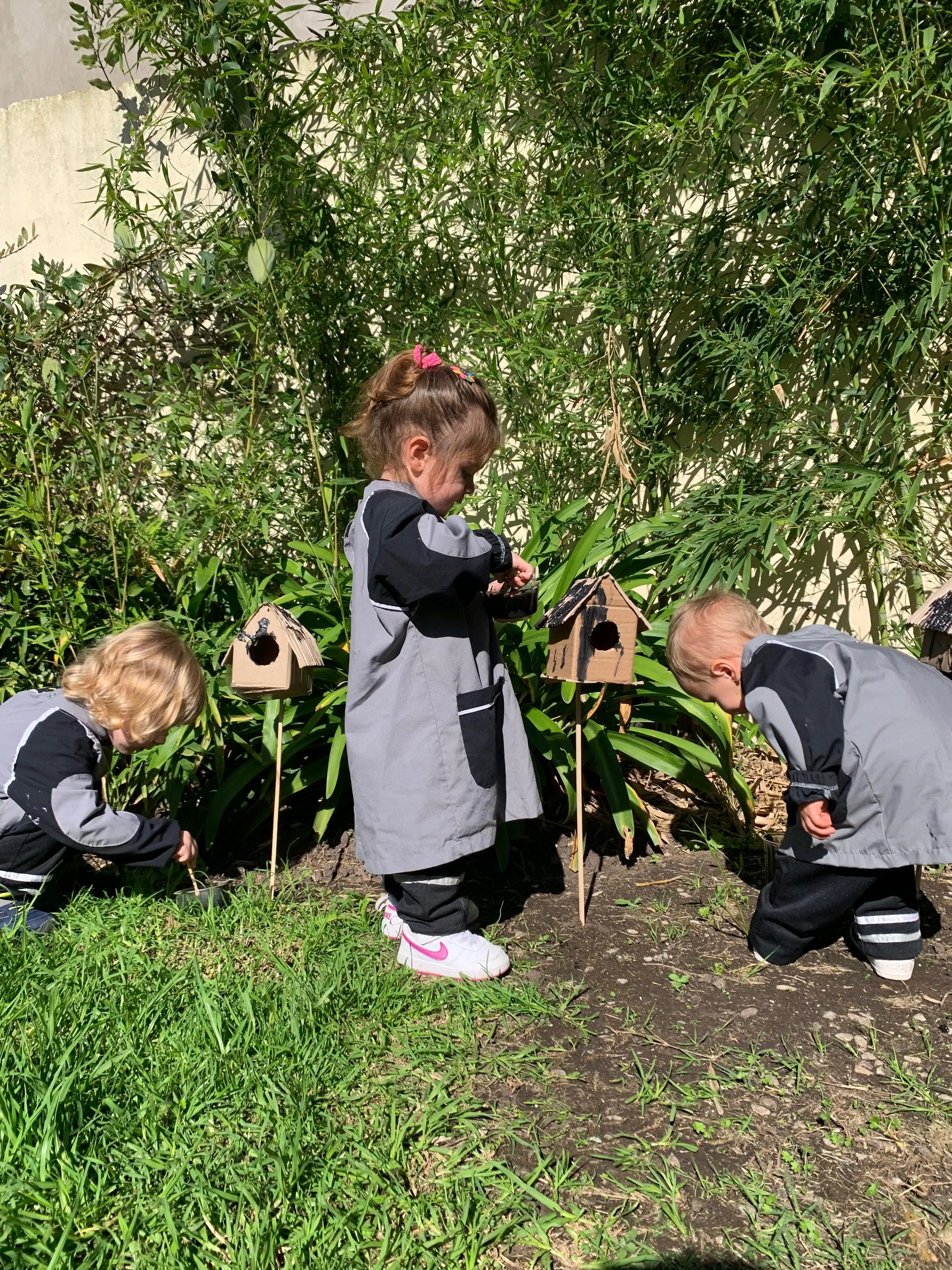 Imagen de Galería de Nivel Inicial