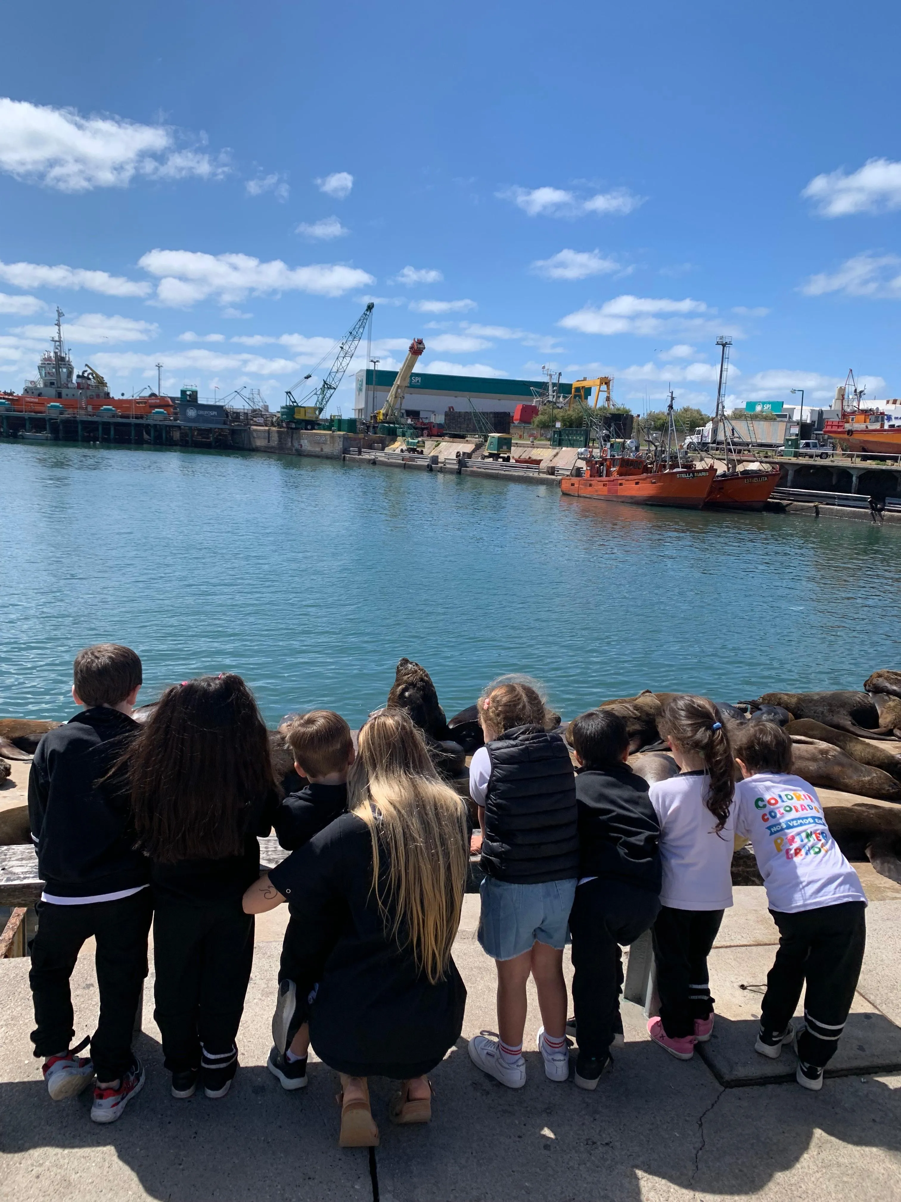 Imagen de la galería