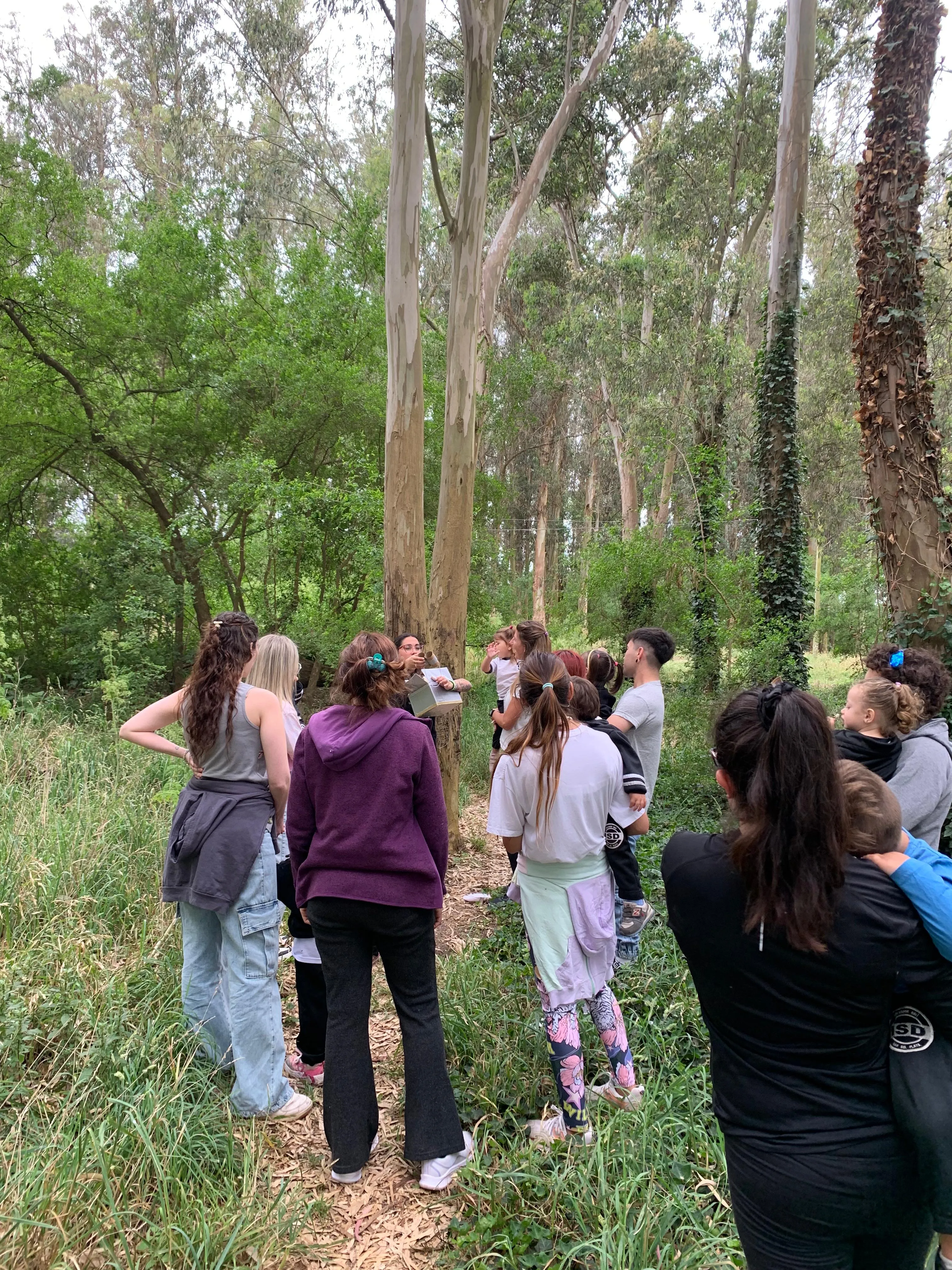 Imagen de la galería