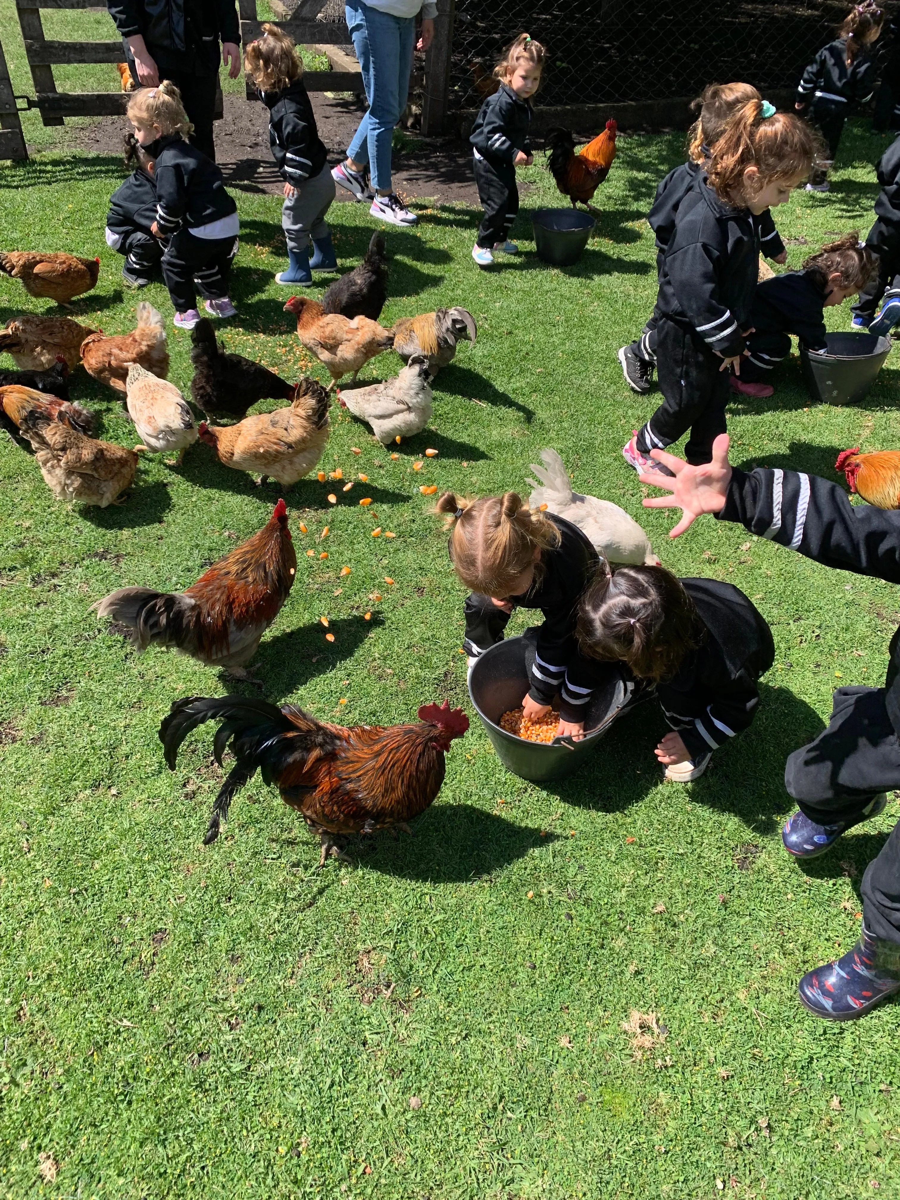 Imagen de la galería