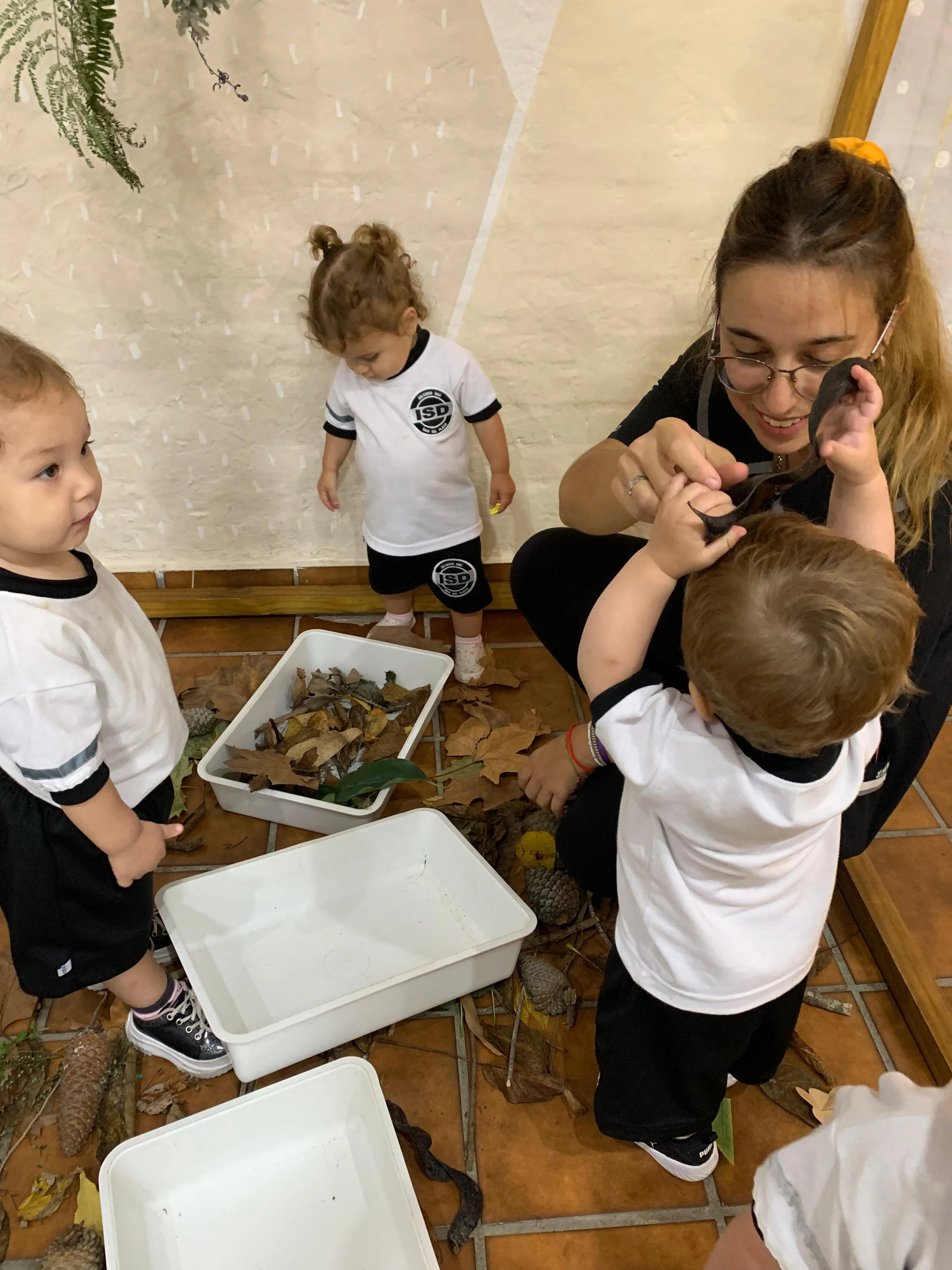 Imagen 5 de Proyecto Anual Institucional