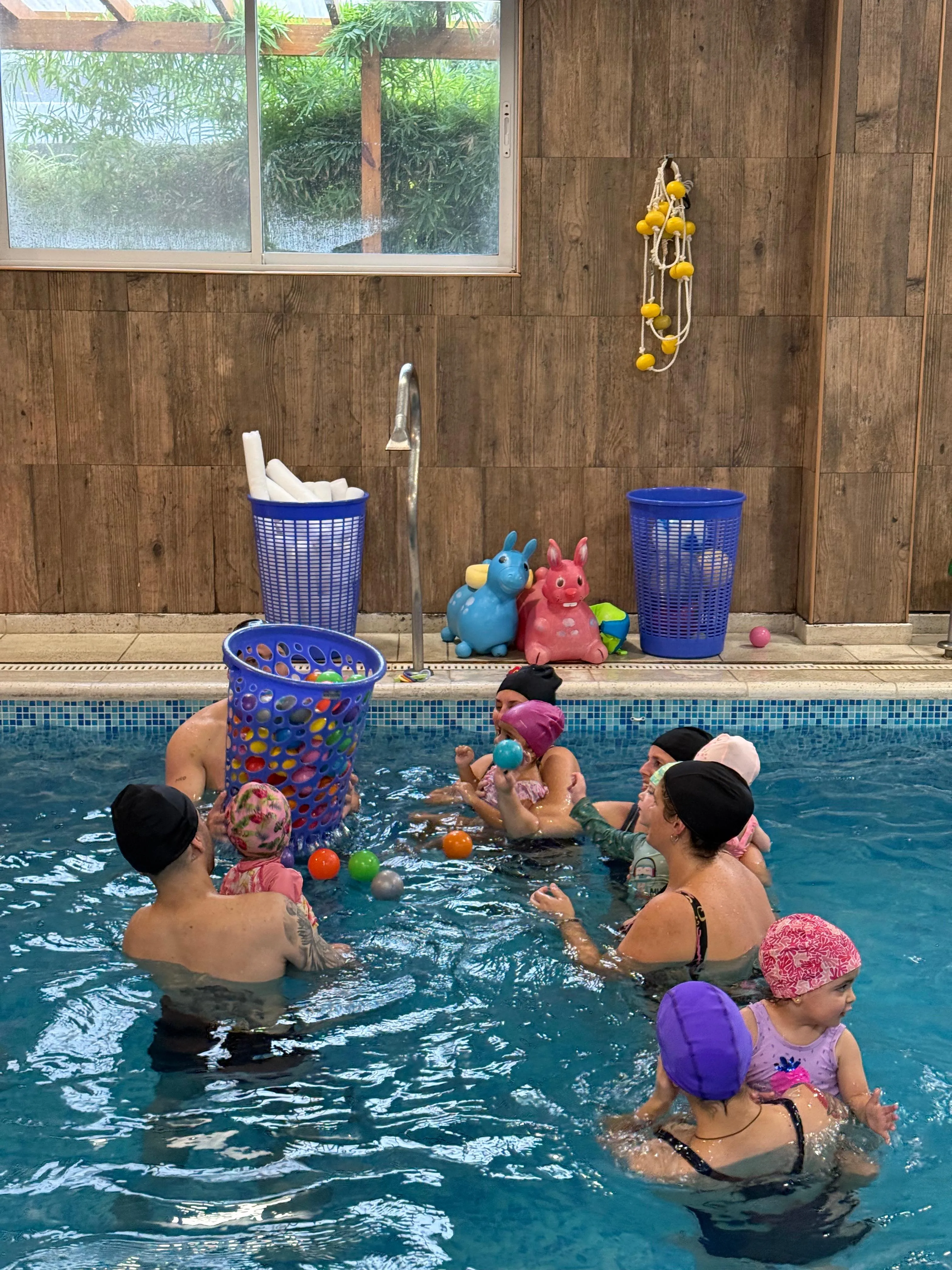 Imagen de la galería